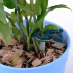 Plastic Plant Garden Clip Set - Image 6