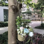 SDTGP5 Succulent Flower Basket Hanging Basket Wall Hanging Basket