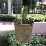 SDTGP5 Succulent Flower Basket Hanging Basket Wall Hanging Basket - Image 3