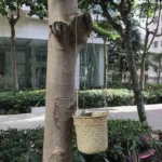 SDTGP5 Succulent Flower Basket Hanging Basket Wall Hanging Basket - Image 4