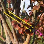 Outdoor Bundling Rope Elastic Tents Metal Buckle High Stretch Clothesline Camping Luggage Packing Hook - Image 8