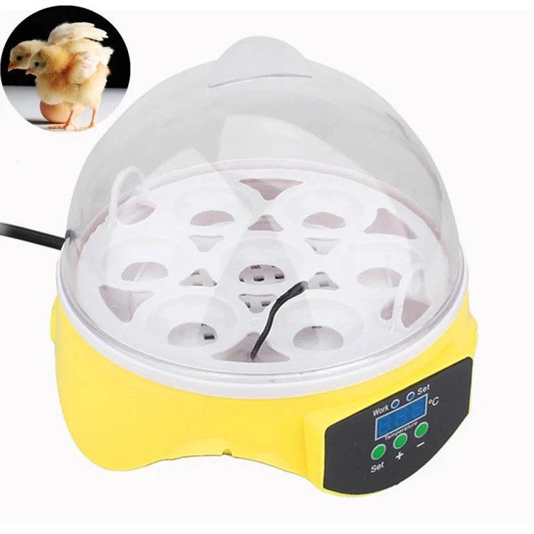 TBD01943030_1.webp YZ9-7 Egg Capacity Incubator Electronic Incubator Tool Hatcher - Image 2