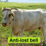 Special Loud Thick Cow Horse Sheep Farm Animals Anti-Lost Loud Bell - Image 6