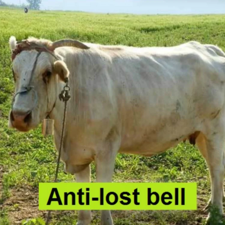 TBD0200228401_5.webp Special Loud Thick Cow Horse Sheep Farm Animals Anti-Lost Loud Bell - Image 6