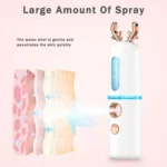 Facial Steamer Nano Spray Water Replenishing Instrument Portable Cold Spray Machine Charging Beauty Instrument Alcohol Disinfection - Image 11