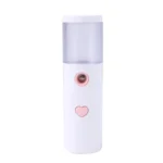 Facial Hydration Instrument Air Humidifier USB Beauty Cold Spray Instrument Auto Alcohol Disinfection Spayer - Image 2