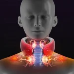 Four-head Shoulder and Neck Massager Pulse Neck Protector - Image 7