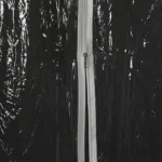 Transparent Coat Wedding Dress Gown Protective Cover Dust Cover Storage Bag - Image 6