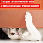 Ctlang B25112 Pet Sofa Protective Tape Cats Anti-Caught Protective Gear Film - Image 6