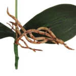 Decorative Landscaping Round Pot Three Flowers Phalaenopsis Bonsai Simulation Potted Plants - Image 5