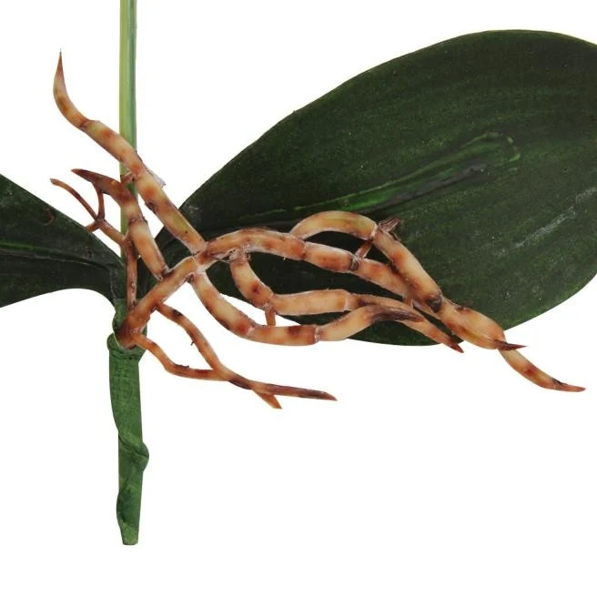 TBD0395788401A_4.webp Decorative Landscaping Round Pot Three Flowers Phalaenopsis Bonsai Simulation Potted Plants - Image 5