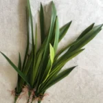 Artificial Orchid Leaf Flower Arrangement DIY Material Simulation Green Plant - Image 3