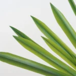 Artificial Orchid Leaf Flower Arrangement DIY Material Simulation Green Plant - Image 7