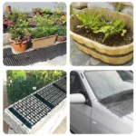 Anti-cat Net Spur Pad To Drive Cat And Dog Artifacts - Image 4