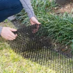 Anti-cat Net Spur Pad To Drive Cat And Dog Artifacts - Image 6