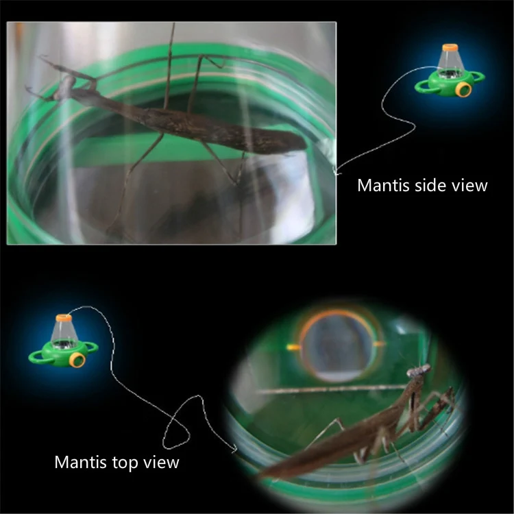 TBD04089418_4.webp 4X Handheld Insect Magnifier Kindergarten Teaching Aids - Image 5