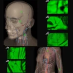 VF620 Infrared Vein Viewer -Desktop HD Adults Children Handy Efficiency Vein Locator - Image 7