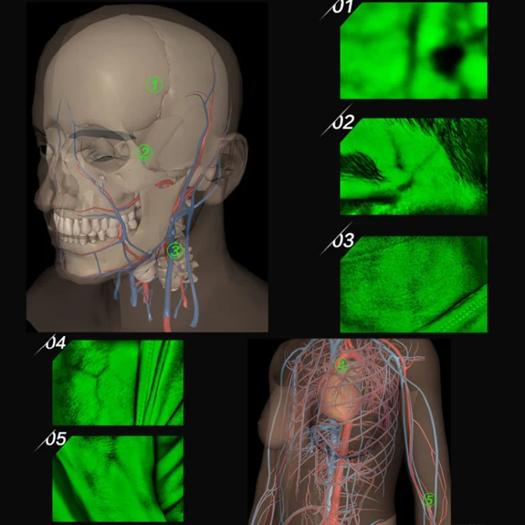 TBD04094297_6.webp VF620 Infrared Vein Viewer -Desktop HD Adults Children Handy Efficiency Vein Locator - Image 7