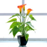 Artificial Flower Calla Plant Potted Home Decoration Green Plant - Image 2