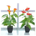 Artificial Flower Calla Plant Potted Home Decoration Green Plant - Image 3