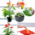 Artificial Flower Calla Plant Potted Home Decoration Green Plant - Image 4