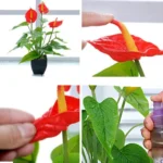 Artificial Flower Calla Plant Potted Home Decoration Green Plant - Image 5
