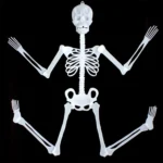 Luminous Skeleton Halloween Activity Props Bar Haunted House Decoration Supplies Fluorescent Skeleton - Image 4