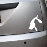 10 PCS Dog and Cat Car Stickers Pet Reflective Waterproof Stickers - Image 4