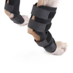 DogLemi PD60041 Dog Hock Brace Pet Supportive Rear Dog Compression Leg Joint Wrap Protects Wounds and Injury - Image 4