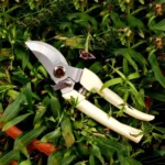 Garden Tools Stainless Steel Pruning Shears Fruit Tree Scissors Garden Branch Shears New And Old Packages Randomly Delivery