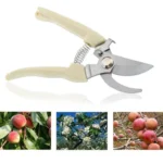 Garden Tools Stainless Steel Pruning Shears Fruit Tree Scissors Garden Branch Shears New And Old Packages Randomly Delivery - Image 6