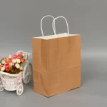10 PCS Elegant Kraft Paper Bag With Handles for Wedding/Birthday Party/Jewelry/Clothes