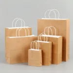 10 PCS Elegant Kraft Paper Bag With Handles for Wedding/Birthday Party/Jewelry/Clothes - Image 5