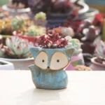 Ceramic Fleshy Flower Pot Succulent Thumb Pot Fox Flower Pot, Random Color Delivery (Without Plants) - Image 4