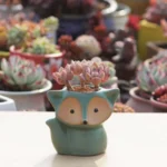Ceramic Fleshy Flower Pot Succulent Thumb Pot Fox Flower Pot, Random Color Delivery (Without Plants) - Image 5