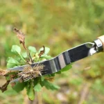 Household Weeding Digging Weeding Soil Removal Seedling Raising Seedling Shovel - Image 6