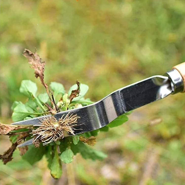TBD04216523_5.webp Household Weeding Digging Weeding Soil Removal Seedling Raising Seedling Shovel - Image 6