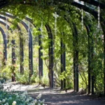 12 PCS Bird Revolving Rod Reflective Bird Repeller - Image 5