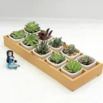 Succulent Wooden Storage Box Landscape Garden Decoration - Image 3