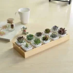 Succulent Wooden Storage Box Landscape Garden Decoration - Image 4