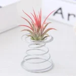 2 PCS Air Aluminum Wire Pineapple Rooting Holder Spring Base - Image 5