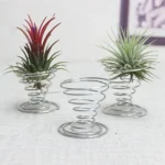 2 PCS Air Aluminum Wire Pineapple Rooting Holder Spring Base - Image 6