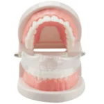 Orthodontic Appliance Silicone Simulation Braces Anti-molar Braces for Night - Image 5