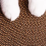 Cat Claw Grinder Corrugated Cat Couch Sofa Protection Kitty Supplies - Image 7