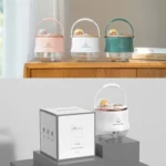 Water Replenishing Double Spray Humidifier LED Night Light Humidifier - Image 6