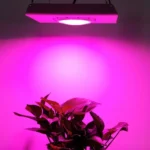 75W Plant Growth Light Ultra-Thin High-Brightness Full-Spectrum COB Indoor Greenhouse Light With Plug - Image 6