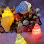 Small Conch Creative LED Light String Home Room Holiday Decoration - Image 3