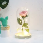 Simulation Roses Lights Glass Cover Decorations Crafts Valentines Day Gifts