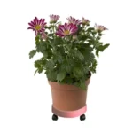 Universal Round Wheels Pot Tray Easy Moving Plant Pot Tray Garden Plate Plastic Stand - Image 4