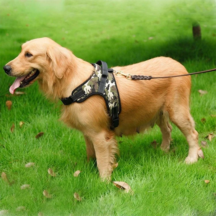TBD049228302C_5.webp Adjustable Harness For Small Medium Large Dogs Pet Walking Hand Strap - Image 6